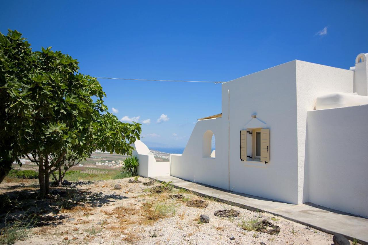 White Orchid Villa Pýrgos Exterior foto